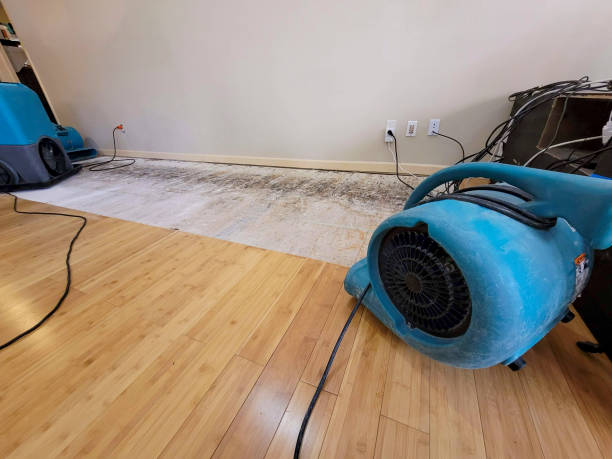 Professional Water Extraction technician working in Walnut, CA